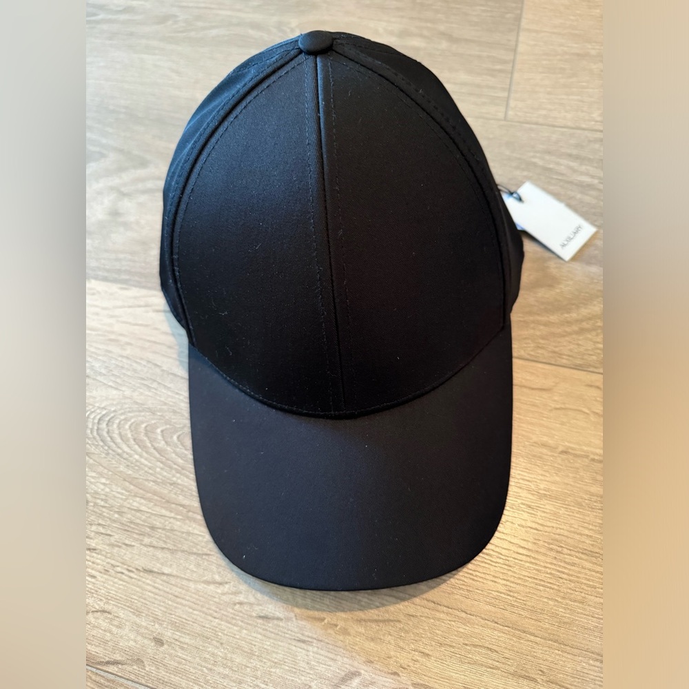 Aritzia Baseball Hat